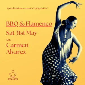 A female Spanish Flamenco dancer