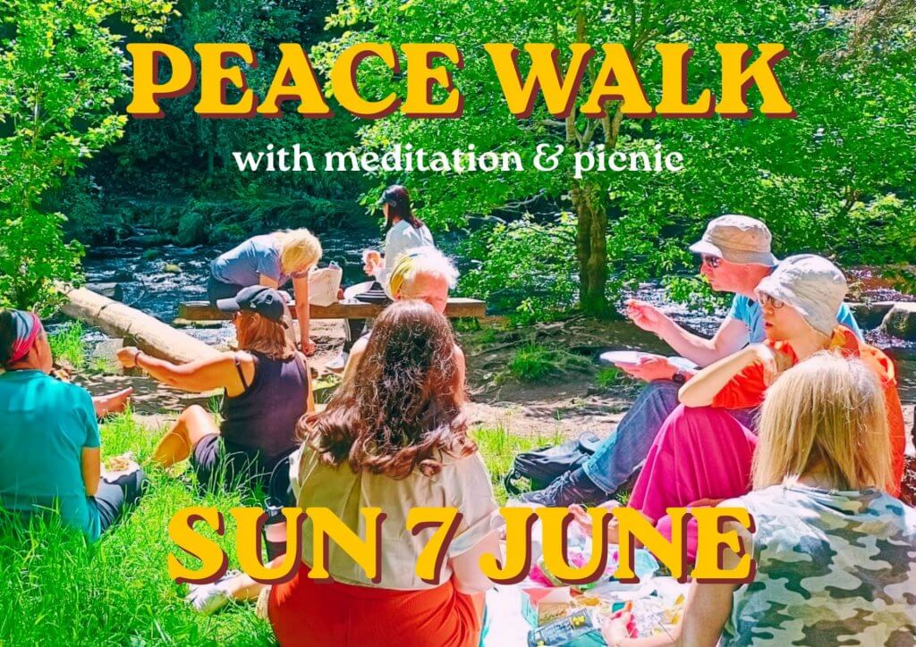 A variety of people enjoying a picnic in the sun